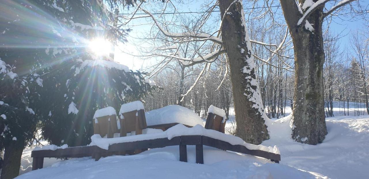 Penzion Harry Na Sjezdovce Krkonose Vysoké nad Jizerou Exterior foto