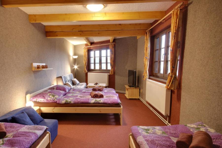 Penzion Harry Na Sjezdovce Krkonose Vysoké nad Jizerou Exterior foto