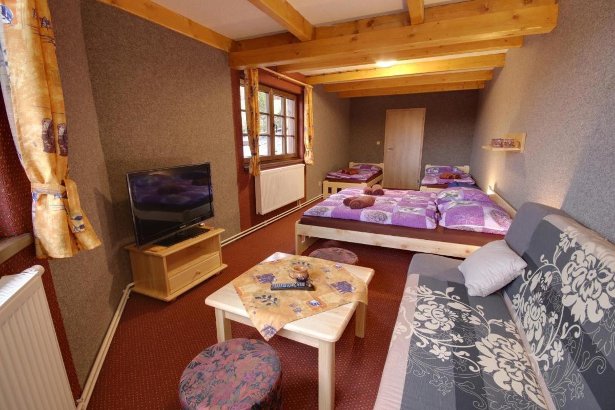 Penzion Harry Na Sjezdovce Krkonose Vysoké nad Jizerou Exterior foto