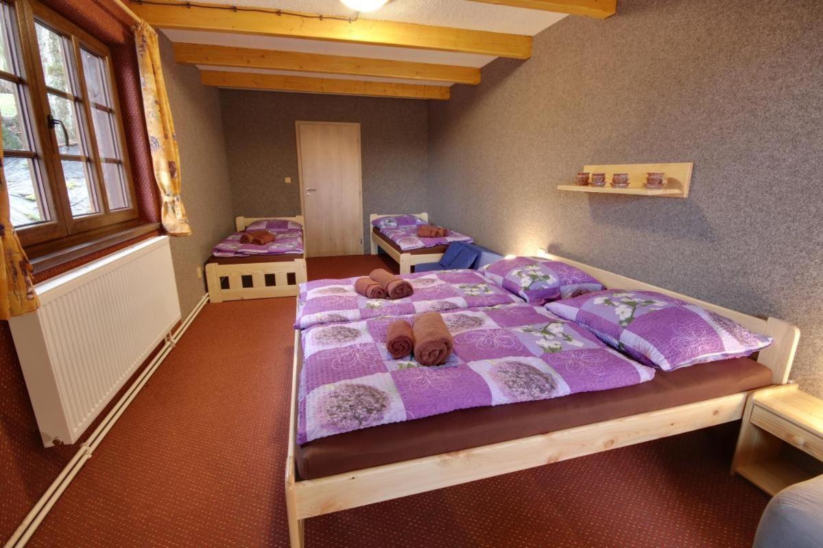 Penzion Harry Na Sjezdovce Krkonose Vysoké nad Jizerou Exterior foto